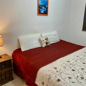  Apartamento Casa Nueva Con 3 Recamaras Y A Un Lado De Alberca